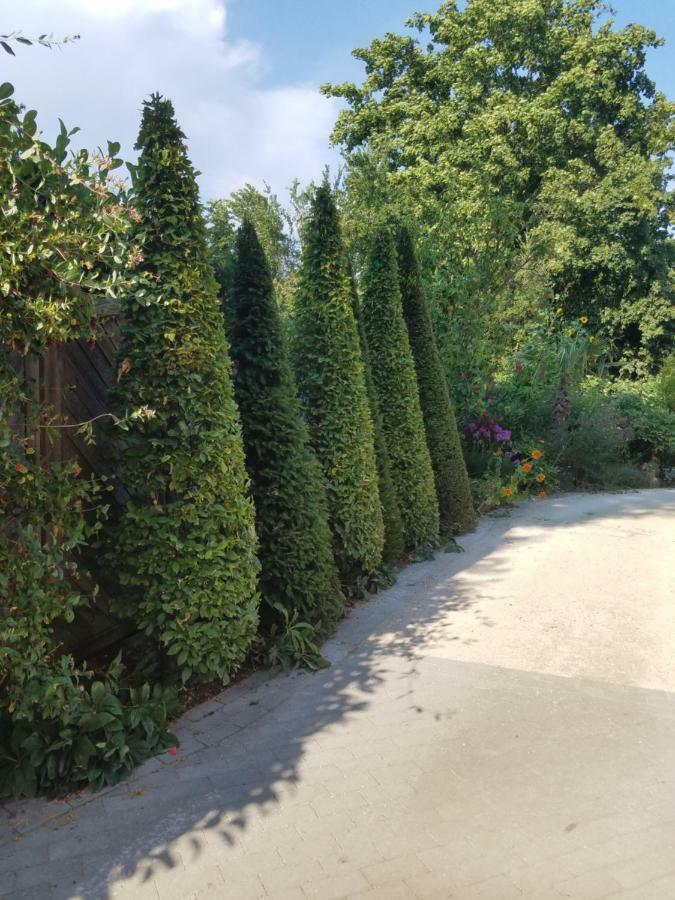 Webergarten Oestrich-Winkel Exterior foto